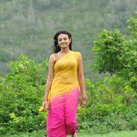 Nikitha Narayan Latest Stills | Picture 125840